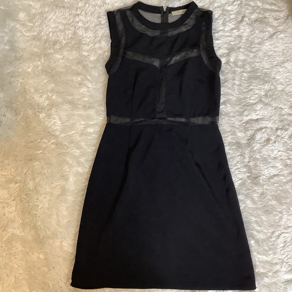 Mesh little black dress